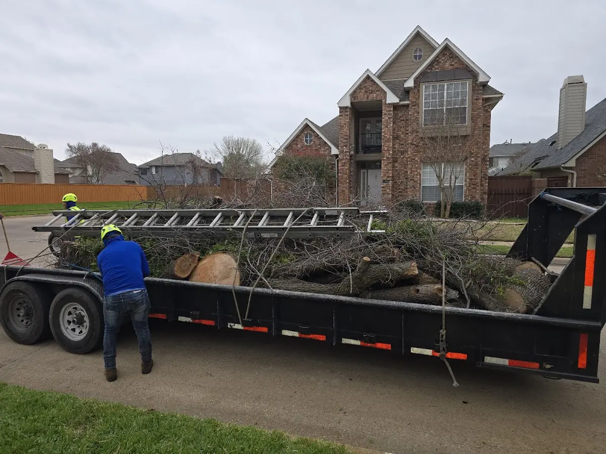 Expert Tree Fertilization with proper safety equipment in Fernwood